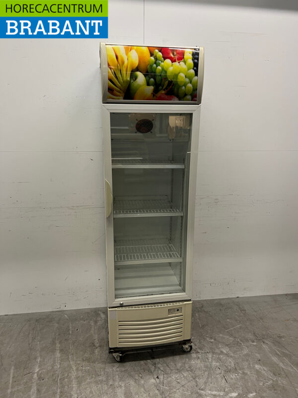 Réfrigérateur à porte vitrée 250 litres 230V Horeca