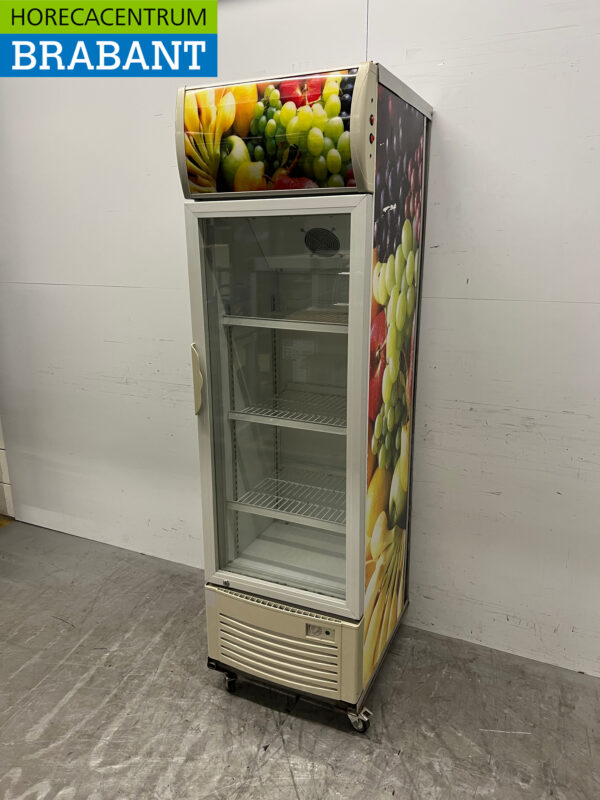 Réfrigérateur à porte vitrée 250 litres 230V Horeca – Image 3