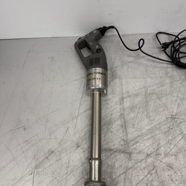 Robot Coupe en acier inoxydable Mixeur plongeant 230V Horeca